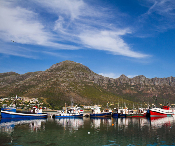 RootsAfrica_simonstown